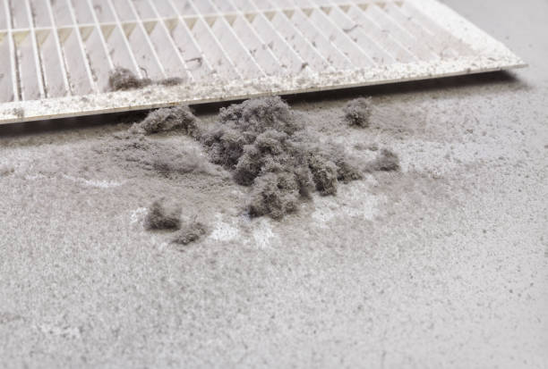 Air Duct Mold Removal in Tolleson, AZ