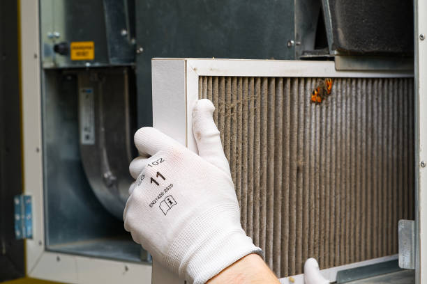 Best Affordable Air Duct Cleaning  in Tolleson, AZ