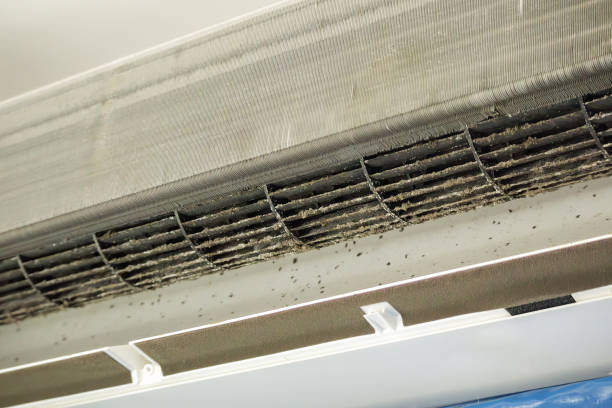 Best Affordable HVAC Duct Cleaning  in Tolleson, AZ